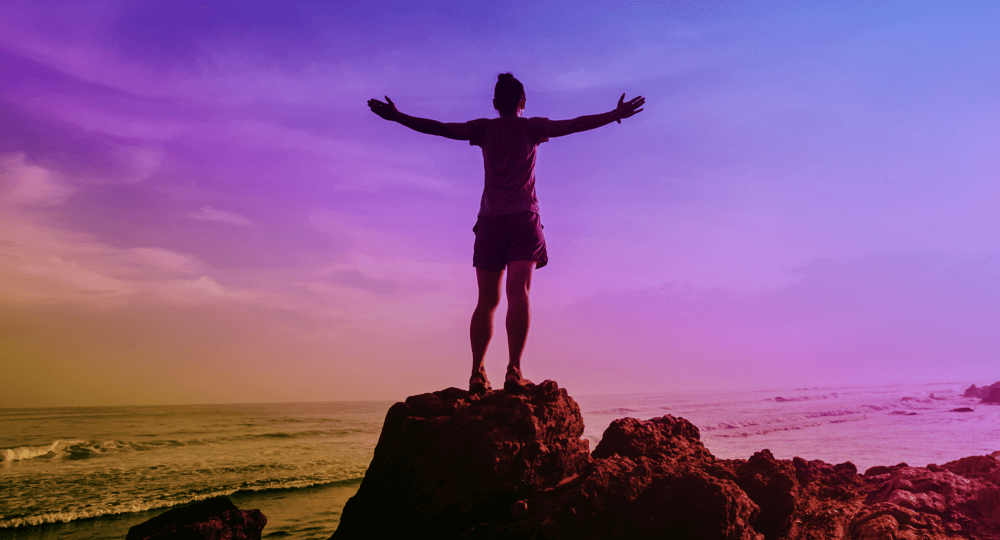 flt_objetivo do curso